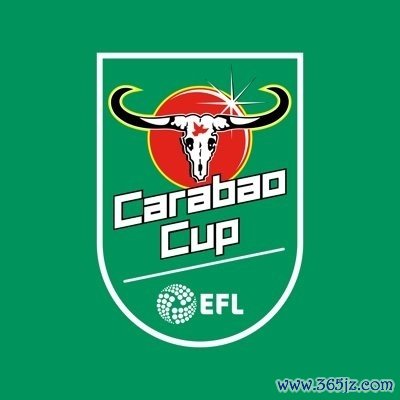 职业联赛  杯1/4总决赛  赛程安排：12月24日凌晨4点